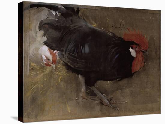 The Black Cock-Joseph Crawhall-Stretched Canvas