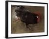 The Black Cock-Joseph Crawhall-Framed Giclee Print