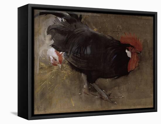 The Black Cock-Joseph Crawhall-Framed Stretched Canvas