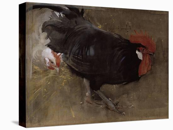 The Black Cock-Joseph Crawhall-Stretched Canvas