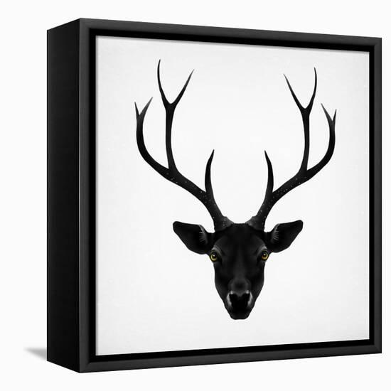 The Black Deer-Ruben Ireland-Framed Stretched Canvas