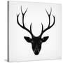 The Black Deer-Ruben Ireland-Stretched Canvas