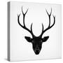 The Black Deer-Ruben Ireland-Stretched Canvas