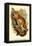 The Black-Eared Mouse Lemur-Sir William Jardine-Framed Stretched Canvas