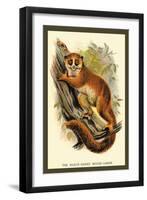 The Black-Eared Mouse Lemur-Sir William Jardine-Framed Art Print