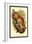 The Black-Eared Mouse Lemur-Sir William Jardine-Framed Art Print