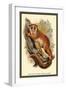 The Black-Eared Mouse Lemur-Sir William Jardine-Framed Art Print