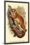 The Black-Eared Mouse Lemur-Sir William Jardine-Mounted Art Print