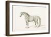 The Black Horse-Thomas Bewick-Framed Giclee Print