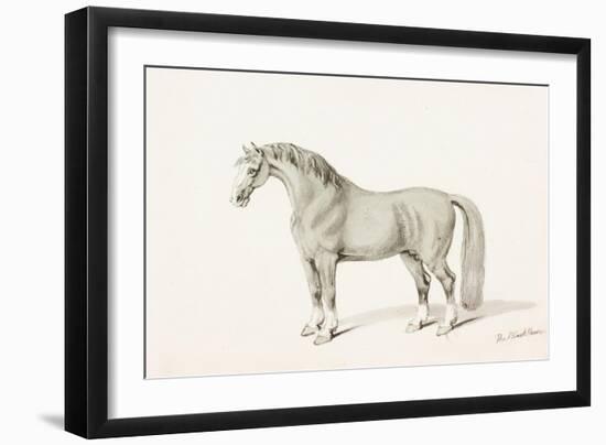 The Black Horse-Thomas Bewick-Framed Giclee Print