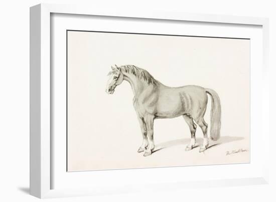The Black Horse-Thomas Bewick-Framed Giclee Print