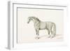 The Black Horse-Thomas Bewick-Framed Giclee Print