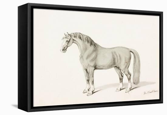 The Black Horse-Thomas Bewick-Framed Stretched Canvas