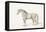 The Black Horse-Thomas Bewick-Framed Stretched Canvas