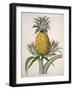 The Black Jamaican-Porter Design-Framed Giclee Print