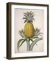 The Black Jamaican-Porter Design-Framed Premium Giclee Print