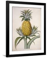 The Black Jamaican-Porter Design-Framed Premium Giclee Print