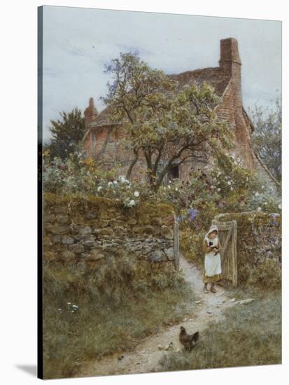 The Black Kitten-Helen Allingham-Stretched Canvas