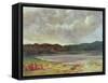 The Black Lake, 1872-Gustave Courbet-Framed Stretched Canvas