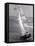 The Black Pearl Sailing Off of Martha's Vineyard-Alfred Eisenstaedt-Framed Stretched Canvas