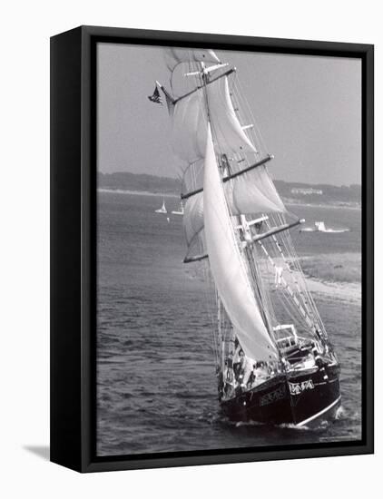 The Black Pearl Sailing Off of Martha's Vineyard-Alfred Eisenstaedt-Framed Stretched Canvas