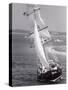 The Black Pearl Sailing Off of Martha's Vineyard-Alfred Eisenstaedt-Stretched Canvas