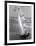 The Black Pearl Sailing Off of Martha's Vineyard-Alfred Eisenstaedt-Framed Photographic Print