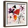 The Black Poppy-Shirley Novak-Framed Art Print