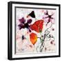 The Black Poppy-Shirley Novak-Framed Art Print