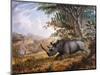 The Black Rhinoceros Charging-Thomas Baines-Mounted Photographic Print