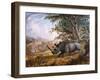 The Black Rhinoceros Charging-Thomas Baines-Framed Premium Photographic Print