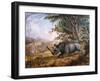 The Black Rhinoceros Charging-Thomas Baines-Framed Photographic Print