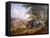 The Black Rhinoceros Charging-Thomas Baines-Framed Stretched Canvas