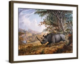 The Black Rhinoceros Charging-Thomas Baines-Framed Photographic Print