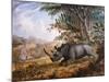 The Black Rhinoceros Charging-Thomas Baines-Mounted Photographic Print