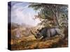 The Black Rhinoceros Charging-Thomas Baines-Stretched Canvas