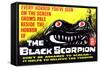 The Black Scorpion, Mara Corday, 1957-null-Framed Stretched Canvas