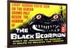 The Black Scorpion, Mara Corday, 1957-null-Framed Photo