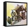 The Black Sheep Bentley-Graham Coton-Framed Stretched Canvas