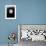 The Black Sleep, Basil Rathbone, 1956-null-Framed Photo displayed on a wall