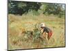 The Blackberry Picker, 1989-Gillian Furlong-Mounted Giclee Print