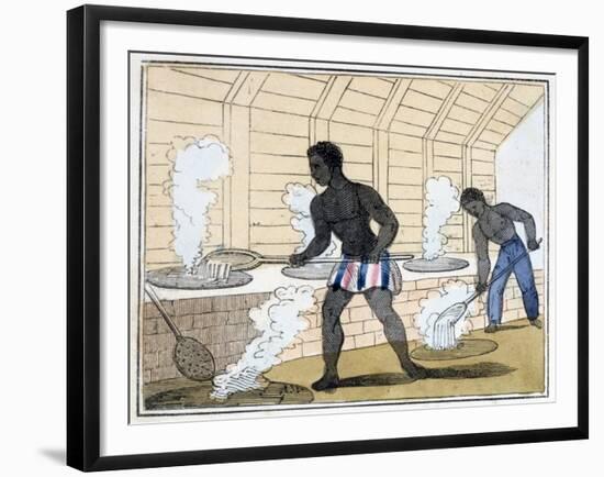 The Blackman's Lament on How to Make Sugar, 1813-Amelia Alderson Opie-Framed Giclee Print