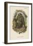 The Blad Chimpanzee-null-Framed Giclee Print
