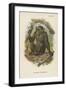 The Blad Chimpanzee-null-Framed Giclee Print