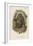 The Blad Chimpanzee-null-Framed Giclee Print