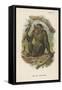 The Blad Chimpanzee-null-Framed Stretched Canvas