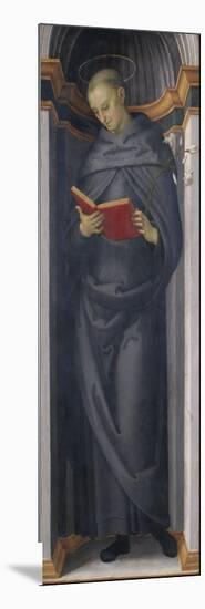 The Blessed Philip Benitius, C.1505-6-Pietro Perugino-Mounted Giclee Print