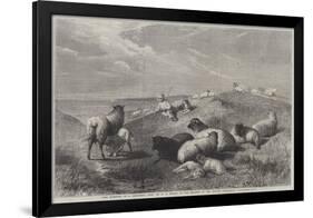 The Blessings of a Shepherd's Life-Henry Brittan Willis-Framed Giclee Print