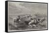 The Blessings of a Shepherd's Life-Henry Brittan Willis-Framed Stretched Canvas