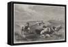 The Blessings of a Shepherd's Life-Henry Brittan Willis-Framed Stretched Canvas